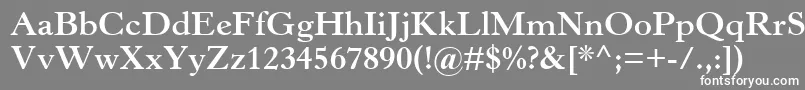 フォントHorleyOsMtBold – 灰色の背景に白い文字