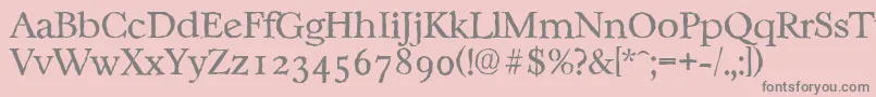 CasablancaantiqueLightRegular Font – Gray Fonts on Pink Background