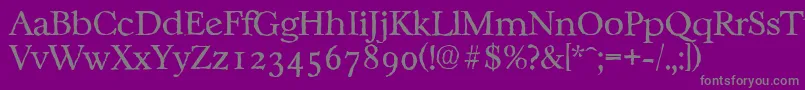 CasablancaantiqueLightRegular Font – Gray Fonts on Purple Background