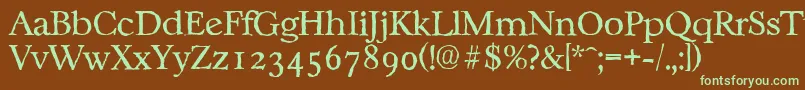 CasablancaantiqueLightRegular Font – Green Fonts on Brown Background