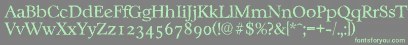 CasablancaantiqueLightRegular Font – Green Fonts on Gray Background