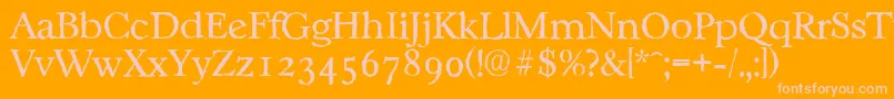 CasablancaantiqueLightRegular Font – Pink Fonts on Orange Background