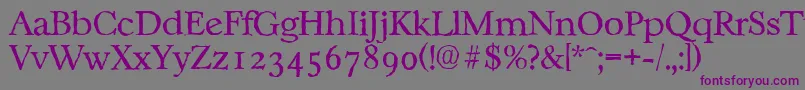 CasablancaantiqueLightRegular Font – Purple Fonts on Gray Background