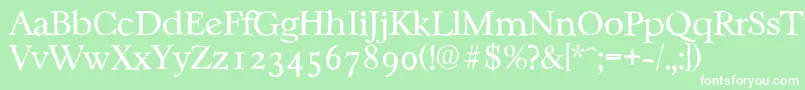 CasablancaantiqueLightRegular Font – White Fonts on Green Background