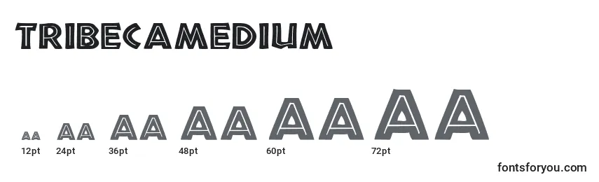 Размеры шрифта TribecaMedium