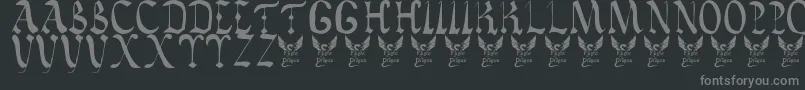 Vatican Font – Gray Fonts on Black Background