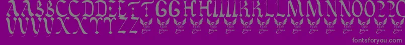 Vatican Font – Gray Fonts on Purple Background