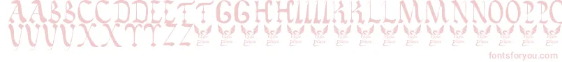 Vatican Font – Pink Fonts on White Background