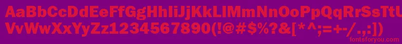 Franklingothheavyttt Font – Red Fonts on Purple Background