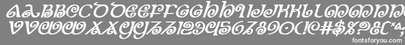 More about TheShireBoldItalic Font TheShireBoldItalic Font – White Fonts on Gray Background