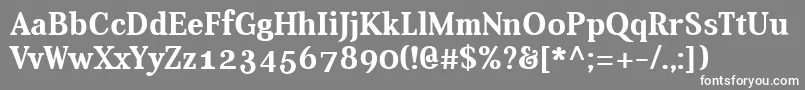 フォントAverBold – 灰色の背景に白い文字