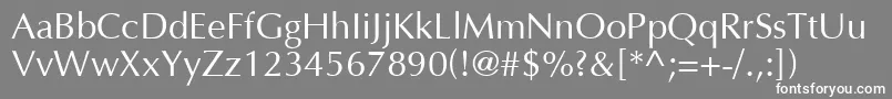 Opus Font – White Fonts on Gray Background