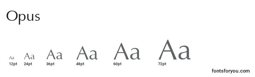 Opus Font Sizes