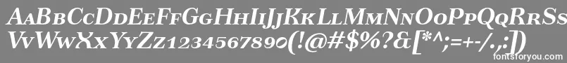 TusartextscBolditalic-Schriftart – Weiße Schriften auf grauem Hintergrund