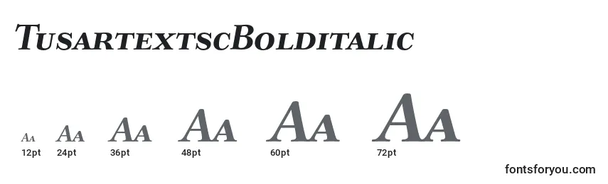 Размеры шрифта TusartextscBolditalic