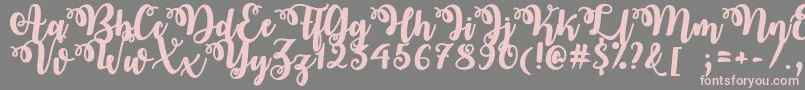 OctoberTwilight Font – Pink Fonts on Gray Background
