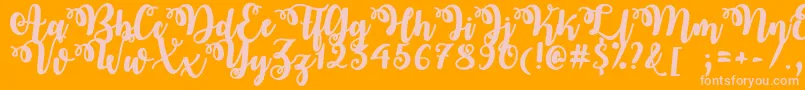 OctoberTwilight Font – Pink Fonts on Orange Background