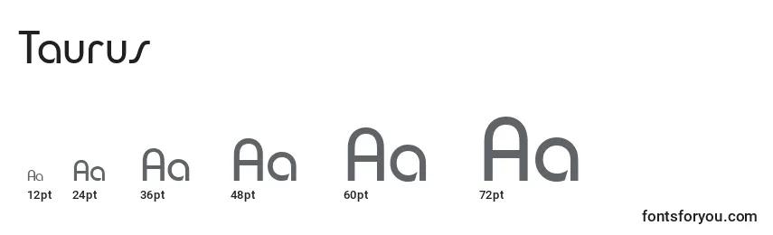 Taurus Font Sizes