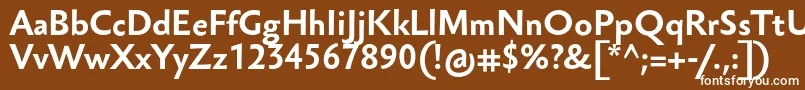 Czcionka SebastianTextProBold – białe czcionki na brązowym tle