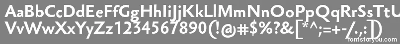 SebastianTextProBold-Schriftart – Weiße Schriften auf grauem Hintergrund