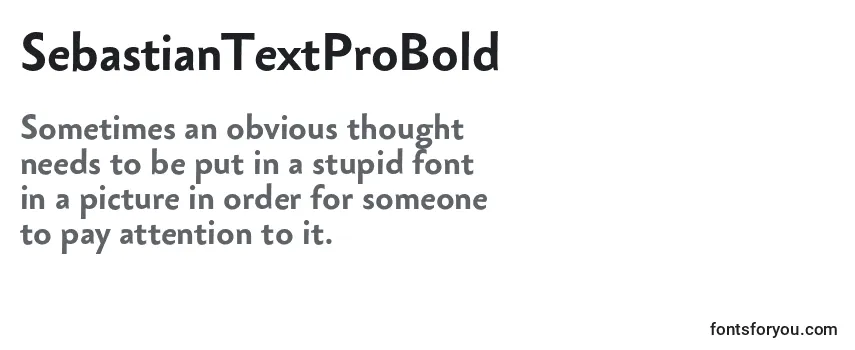 SebastianTextProBold Font
