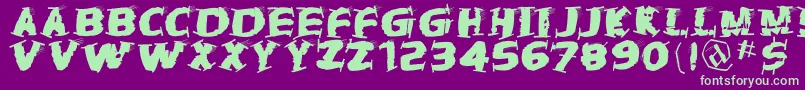 Thetrampstrash Font – Green Fonts on Purple Background