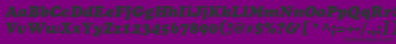CooperblackstdItalic Font – Black Fonts on Purple Background