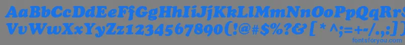 CooperblackstdItalic Font – Blue Fonts on Gray Background