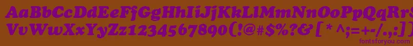 CooperblackstdItalic Font – Purple Fonts on Brown Background