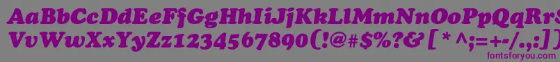 CooperblackstdItalic Font – Purple Fonts on Gray Background