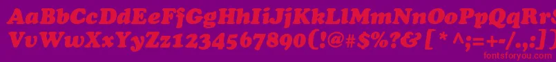 CooperblackstdItalic Font – Red Fonts on Purple Background