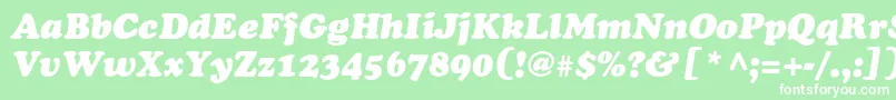 CooperblackstdItalic-Schriftart – Weiße Schriften auf grünem Hintergrund