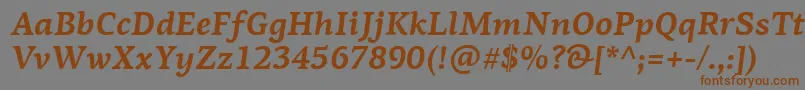 フォントPfagoraserifproBolditalic – 茶色の文字が灰色の背景にあります。