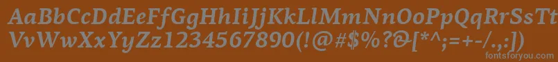 フォントPfagoraserifproBolditalic – 茶色の背景に灰色の文字