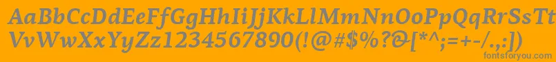 フォントPfagoraserifproBolditalic – オレンジの背景に灰色の文字