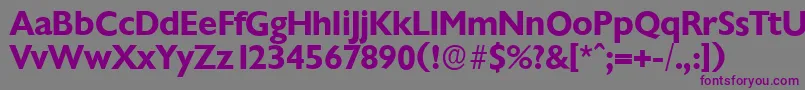 ChantillyserialBold-fontti – violetit fontit harmaalla taustalla