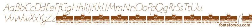 BeatrixantiquaThinitalicTrial Font – Brown Fonts on White Background