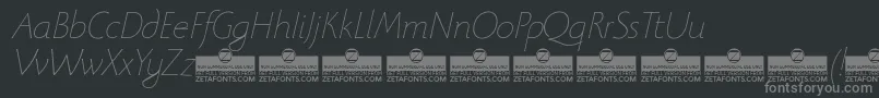 BeatrixantiquaThinitalicTrial Font – Gray Fonts on Black Background