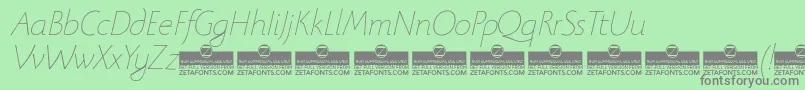 BeatrixantiquaThinitalicTrial Font – Gray Fonts on Green Background