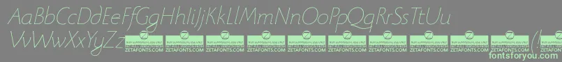 BeatrixantiquaThinitalicTrial Font – Green Fonts on Gray Background