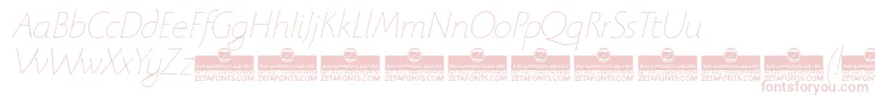 BeatrixantiquaThinitalicTrial Font – Pink Fonts on White Background