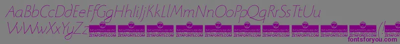 BeatrixantiquaThinitalicTrial Font – Purple Fonts on Gray Background