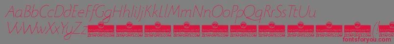 BeatrixantiquaThinitalicTrial Font – Red Fonts on Gray Background