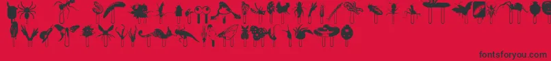 Junglefood Font – Black Fonts on Red Background