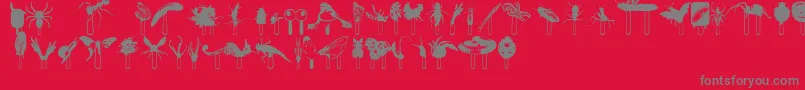 Junglefood Font – Gray Fonts on Red Background