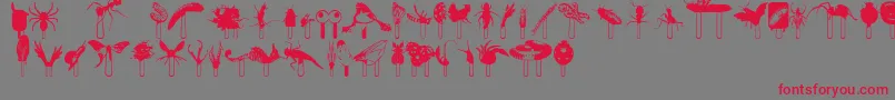 フォントJunglefood – 赤い文字の灰色の背景