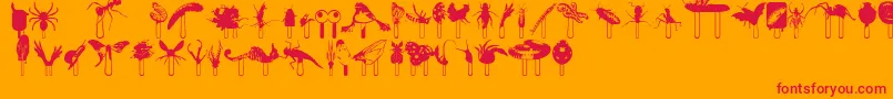 Junglefood-Schriftart – Rote Schriften auf orangefarbenem Hintergrund