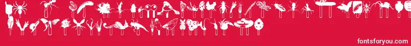 Junglefood Font – White Fonts on Red Background