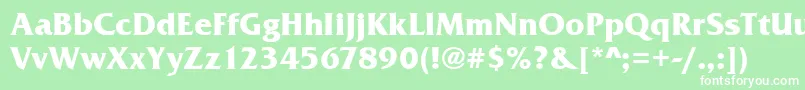FrizquaitcteeBold Font – White Fonts on Green Background