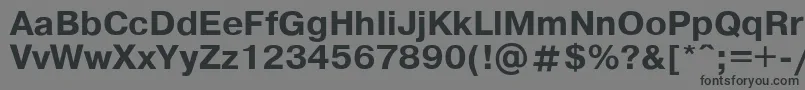 Pragmab Font – Black Fonts on Gray Background